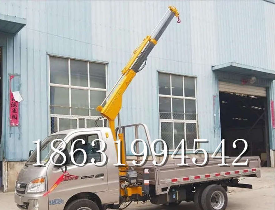 黄石港区随车吊机小吊机220V包安装1/2吨吊机随车吊机220v移动吊机小吊机220V包安装
